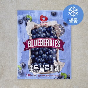 [로켓프레시] 베리밸리 칠레산 블루베리 (냉동)