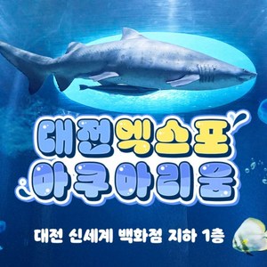 (골드박스) 1인 입장권 1인권
