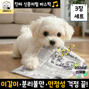 난펫 강아지 바스락 신문지 장난감 세트