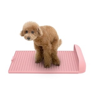 독톡 강아지 연장형 배변판