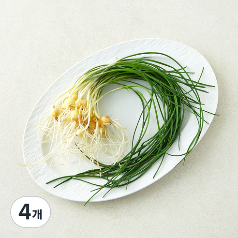 친환경 세척 달래