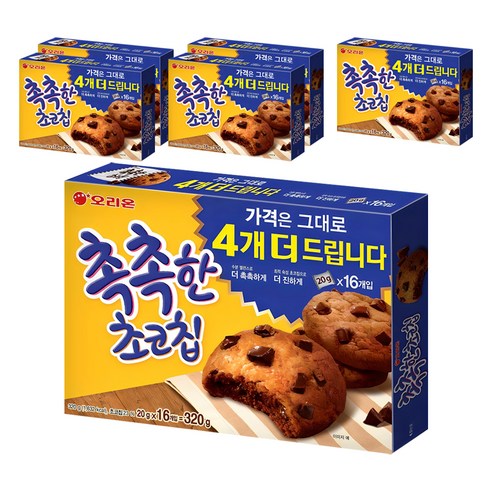 촉촉한초코칩