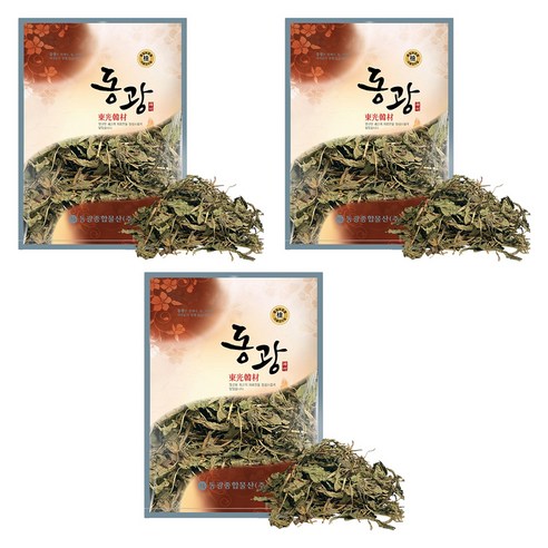 동광한방몰 포공영 민들레잎, 600g, 3개