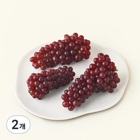 [로켓프레시] 델라웨어 포도, 500g, 2개