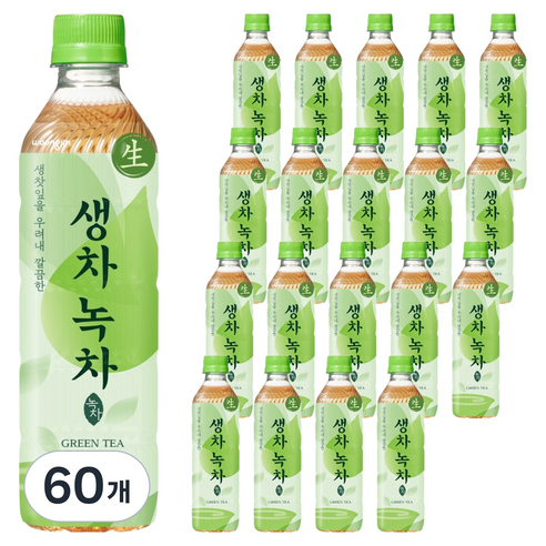 웅진 생차 녹차, 500ml, 60개