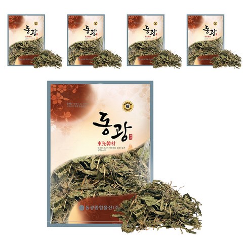 동광한방몰 포공영 민들레잎, 600g, 5개