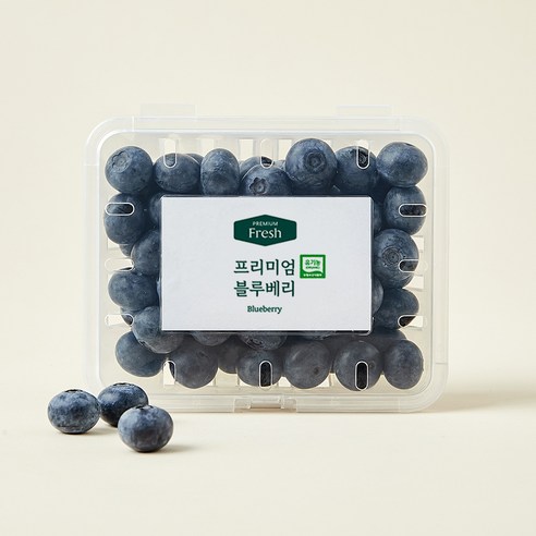 [로켓프레시] 프리미엄 유기농 블루베리 대과