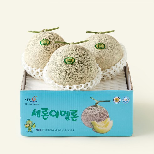 [로켓프레시] GAP 인증 세지메론, 5kg(3개입), 1개
