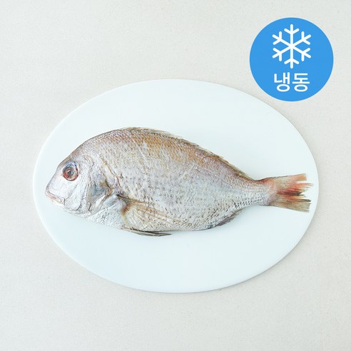 [로켓프레시] the 푸짐한 국내산 프리미엄 손질 참돔 (냉동)