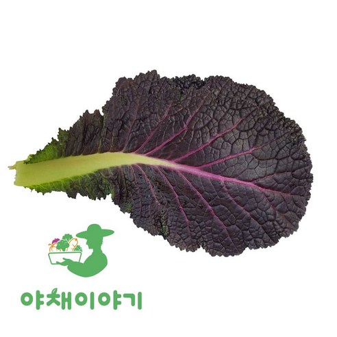 야채이야기 싱싱한 적겨자 200g 겨자잎 적겨자잎