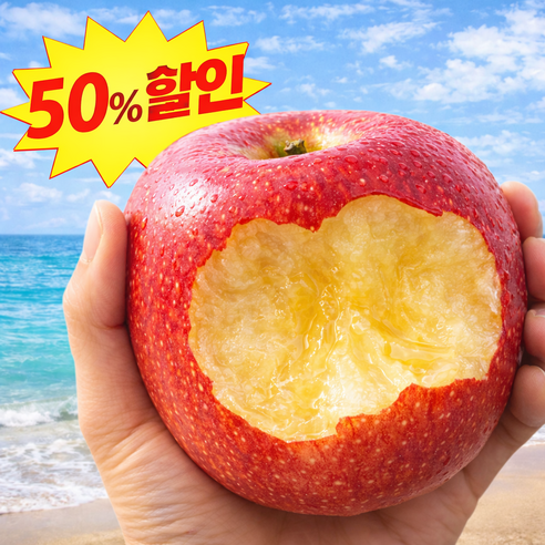 [오늘만초특가] 선착순100박스 재구매율1위 환상의맛 부사사과