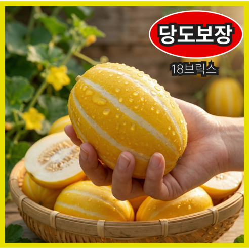 [당도선별] 고당도 성주참외 18브릭스 가정용