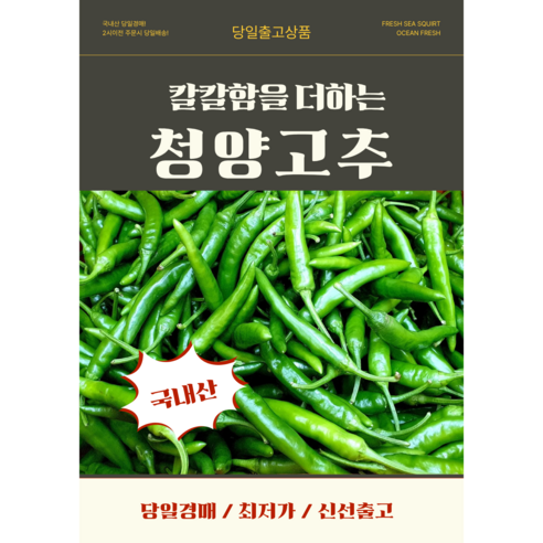 국내산 청양고추 신선한 매운고추 요리용, 1개, 상1kg