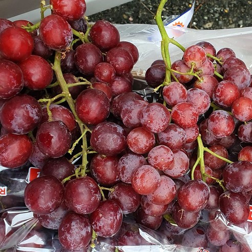 레드크림슨 포도 고당도 프리미엄 적포도, 1개, 1.5kg