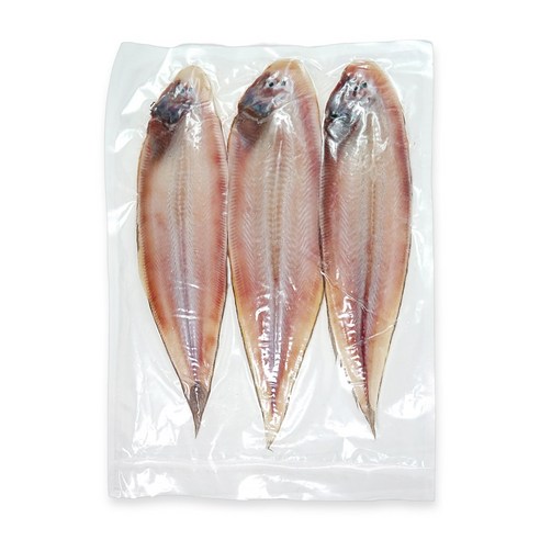 군산 반건조 박대, 1개, 4미 (중, 28~33cm 미당 160g 내외)
