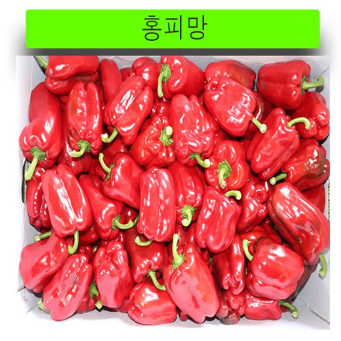 (가락시장까망콩) 당일 경매 단단하고 신선한 영업용 못난이 홍피망 10kg