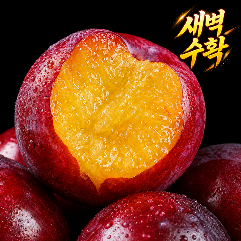 [매년완판] 새벽수확 햇자두 침샘폭발 산지직송