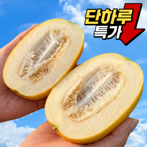 [재구매폭발] 당일수확 농장직송 고당도 성주참외
