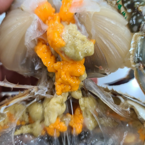 [당일조업] 제철 봄 알배기 활꽃게 암꽃게 꽃게 1kg