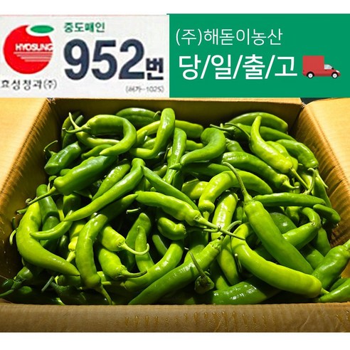 해돋이농산 국내산 아삭이고추 오이고추 오이맛고 못난이고추 1kg 2kg 3kg 5kg 10kg