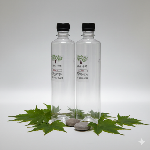 {냉동} 대금산 고로쇠물 고로쇠수액 500ml 10병