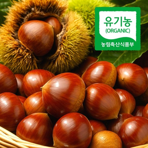 재구매율1위 천상의맛 햇밤 옥광밤