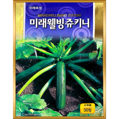 돼지호박 주키니 쥬키니호박씨앗 종자 야채 씨 30립, 1개