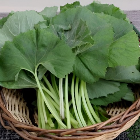 국산 머구 머위잎 머위나물, 1박스, 2kg