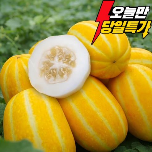 [산지직송] 성주참외 재구매1위 제철과일 꿀뚝뚝 당도보장, 1박스, 3kg (가정용 중소과)