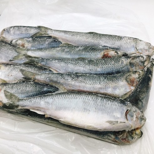 냉동 청어 생선 약13kg 1박스 27cm전후사이즈 약40마리 업소용 급냉 통생선청어