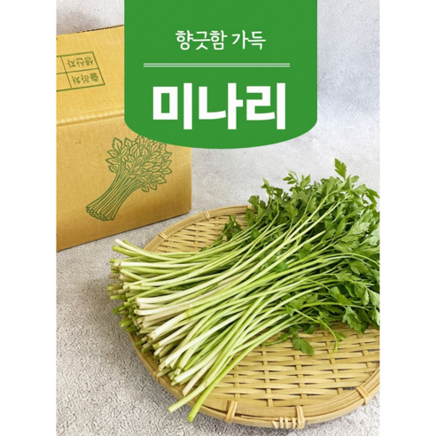 팜이슈 국내산 향긋한 미나리 싱싱한 국산 돌미나리