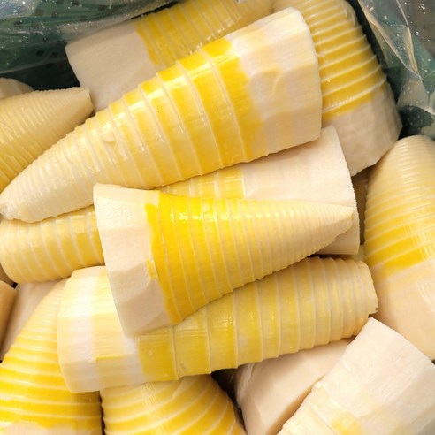 [국내산] 거제도 삶은 햇 죽순, 3개, 500g