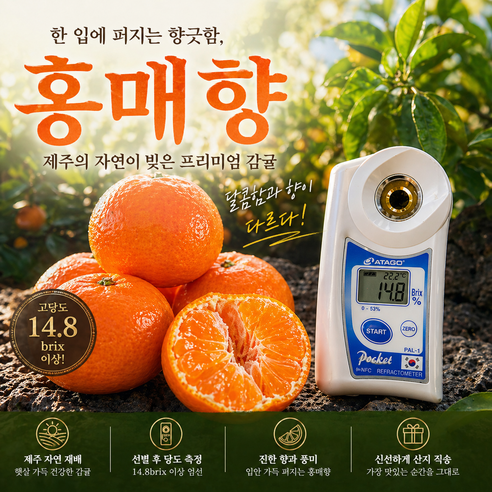 [서귀포 선과장 직송]제주 홍매향 수라향 신비향 설국향 고당도 서귀포 직배송 선과장 운영, 1박스, 홍매향소과2.5k(벌크/21-30과)