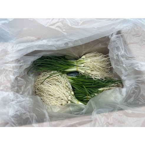 알짜한 봄나물 달래 산지직송 국내산 세척 달래 300g(실중량)