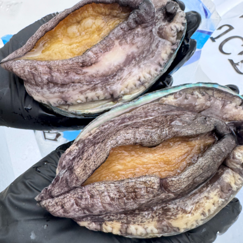 파도스토리 완도전복 2kg 왕특대 직거래 산지직송 선물세트 손질칼 증정, 2세트, 2kg(톡대 22-24미)