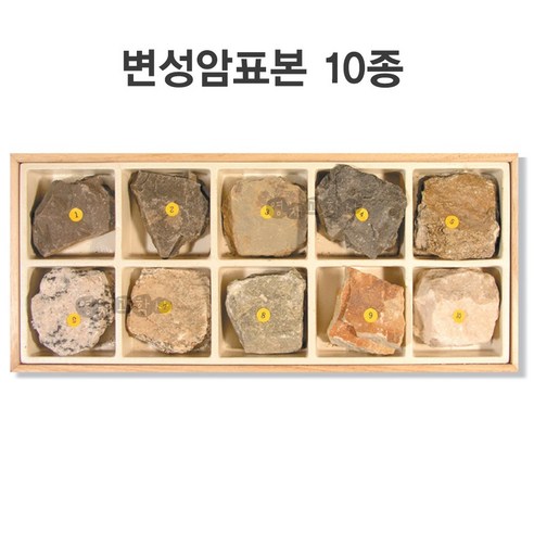 영재과학 암석표본 10종 변성암 퇴적암 화성암 교과서 암석 표본