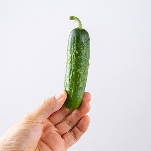 아삭한 국내산 미니오이 2kg, 1개, 2kg