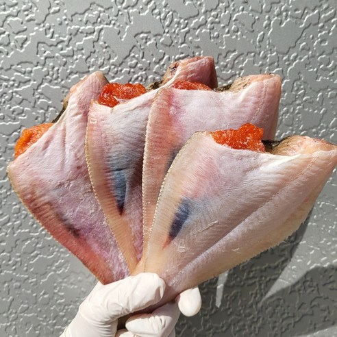 [산지직송] 동해안 반건조 참가자미 자연해풍 가자미, 1개, 반건조 참가자미 3kg 내외 (특대/12미)