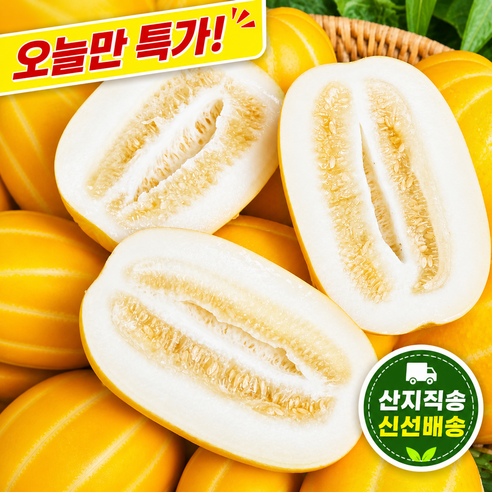 [오픈초특가] 당일수확 초고당도 벌꿀맛 성주 가정용 꿀참외