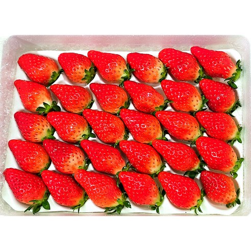 논산 킹스베리 딸기 프리미엄 대과 고당도 생딸기 산지직송, 1박스, 450g (특)
