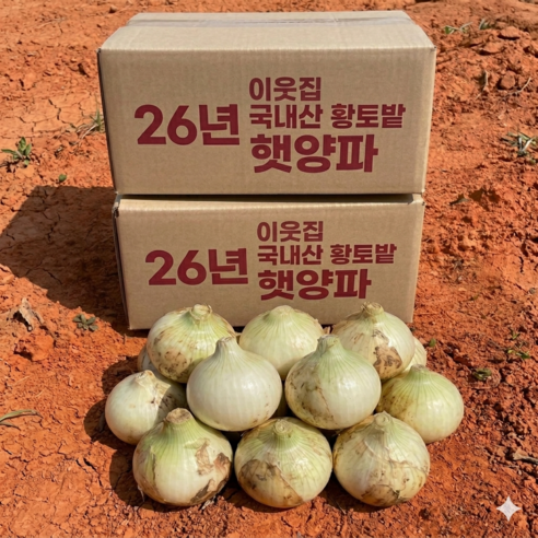 이웃집 국내산 황토밭 양파 햇양파