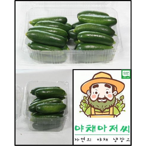 미니오이