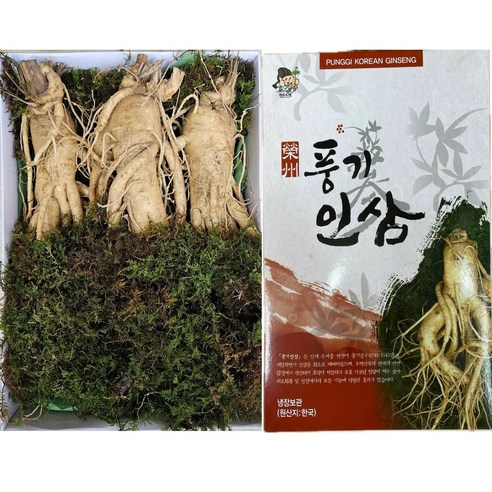 6년근 풍기인삼 특왕대 사이즈 3-5뿌리 고급선물세트 종이상자 이끼포장 한보인삼사