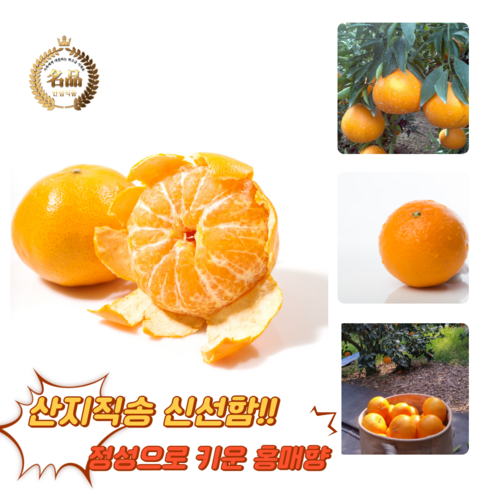 [굿피플] 홍매향 제주홍매향 홍미향 썬레드 홍미향귤 레드향 귤, 1박스, 홍매향 5kg중과(40-60과)