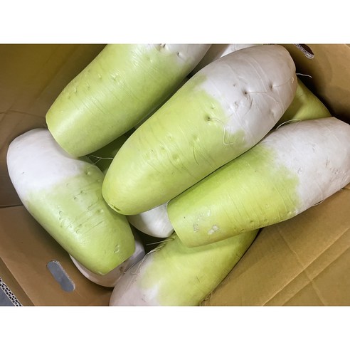 (당일경매) (당일출고) 아삭하고,달큰한 국내산 무 5kg 10kg 20kg 1박스 (최상급) (제주산), 1개, 5kg