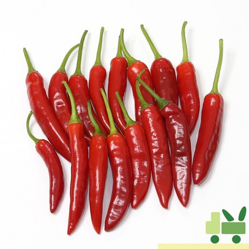 사라상회 홍청양 고추 1Kg (특)