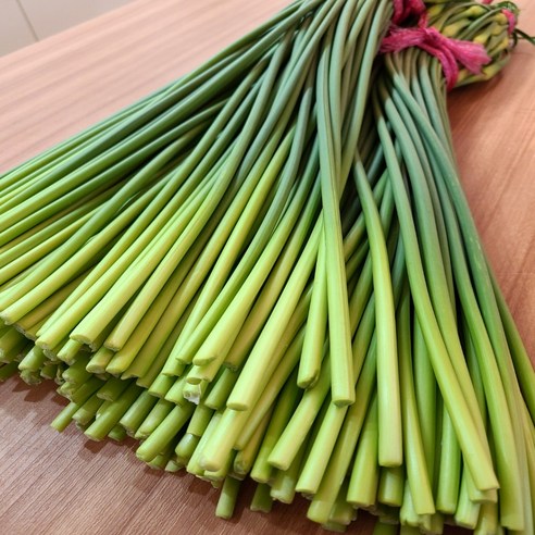 (특품) 노씨고집 국산 유명농가 마늘쫑, 1박스, 2kg 내외