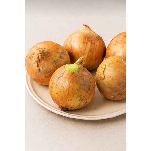 국내산 양파 산지직송 3kg 5kg 10kg, 1개, 5kg 특대
