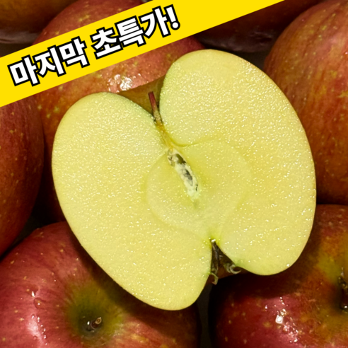 마지막초특가 아삭아삭 달콤과즙 부사 사과