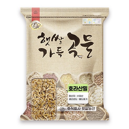 고대곡물 호라산밀